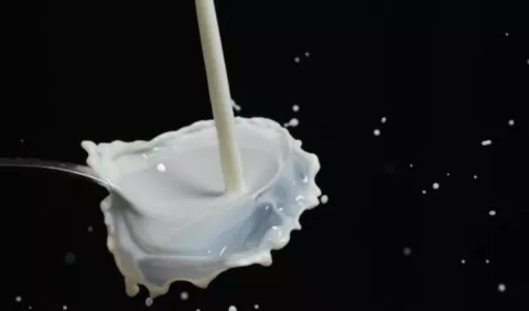 ¿La leche ayuda realmente a la salud ósea?