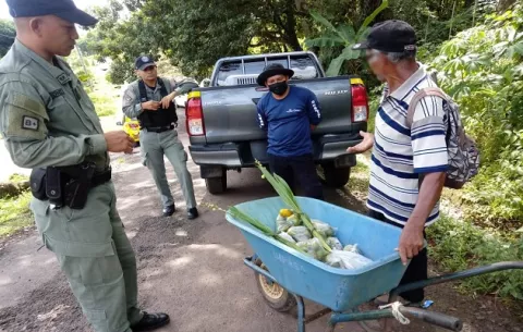 Policía atrapa 'in fraganti' a hombre que vendía especímenes de la Flor del Espíritu Santo