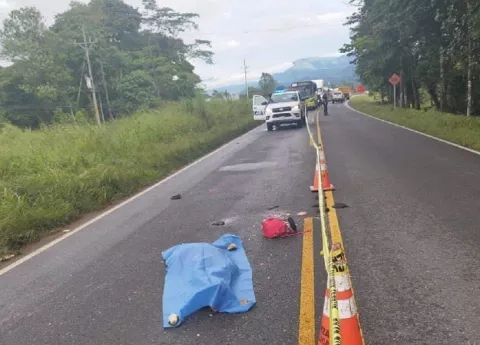 Panameña muere atropellada por articulado en Zona Sur de  Costa Rica 