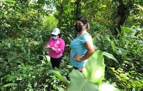 ¿Cuáles son las provincias con más solicitudes de permisos de aprovechamiento forestal?