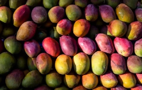 ¿Cómo se puede reducir  la pérdida de alimentos de una manera sencilla?