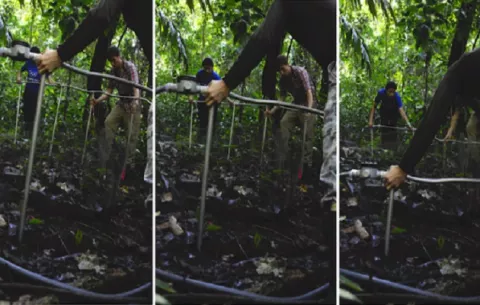 Científicos calientan una sección de la selva tropical panameña para simular el calentamiento global