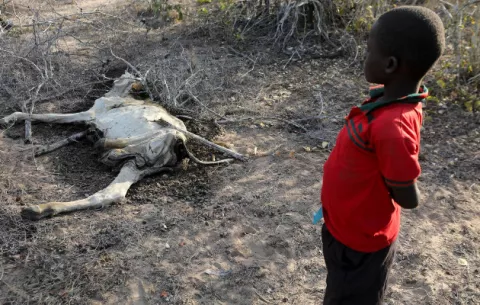 La sequía en Kenia empeora y empuja al hambre a más de 900 mil niños