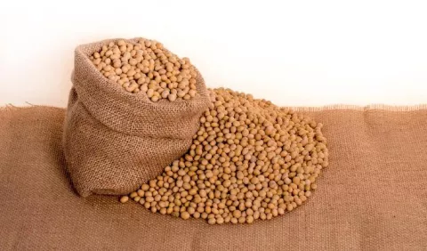 Bondades de la soya, un aliado para una alimentación saludable