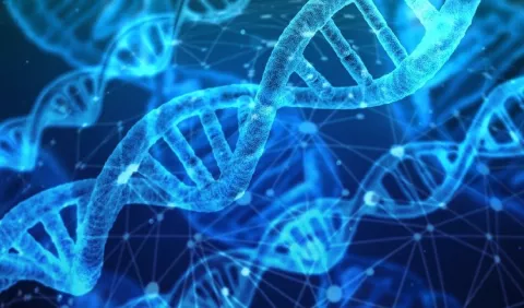 Fertilidad: Función de una Unidad de Genética