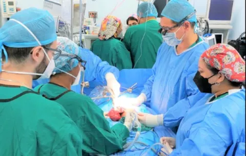 Cáncer de hígado: mortal y con grandes aliados