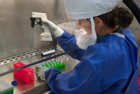 Otra vez el Estado queda en deuda con la innovación, ciencia y tecnología