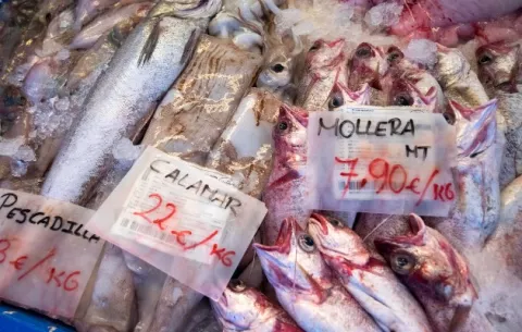 El mundo se enfrenta a una crisis alimentaria sin precedentes