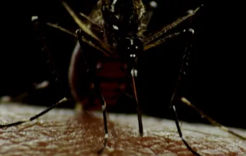 Dengue siguen por encima de la línea epidémica; Minsa teme incremento de casos graves y fatales