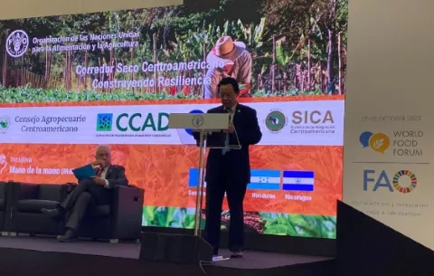 FAO quiere convertir Corredor Seco Centroamericano en zona de oportunidades