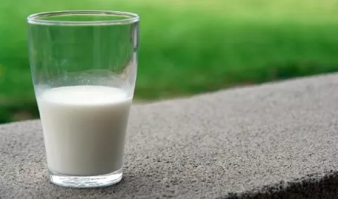 La leche: Una  fuente esencial de nutrientes