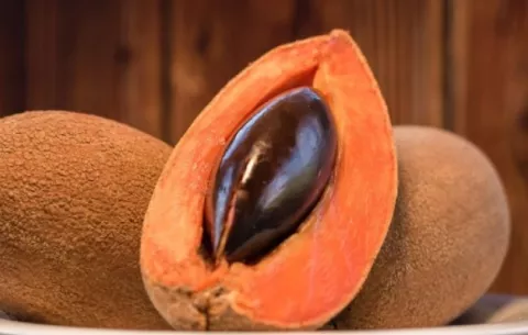 Panamá estudia bondades del mamey contra el Alzheimer