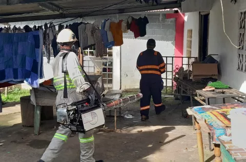 Minsa pide ayuda a Juntas Comunales para suministrar personal para fumigación 