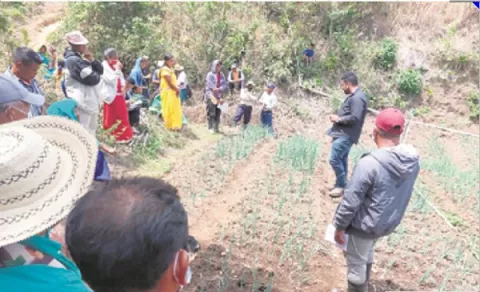 Suelo de la comarca Ngäbe Buglé presenta retos para la agricultura