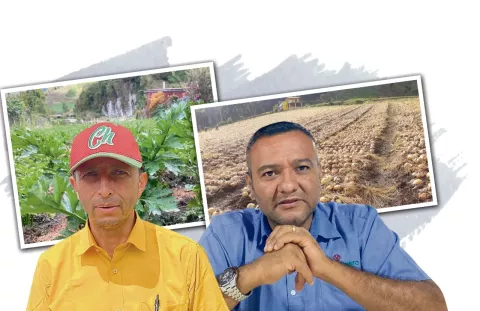 Difícilmente bajen de precios los productos agrícolas de Tierras Altas