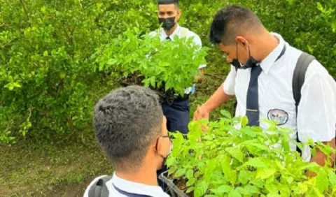 Graduandos plantan árboles, reto de conciencia ambiental
