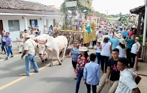 Festival del Toro Suelto celebrado en Pedasí superó las expectativas en visitantes
