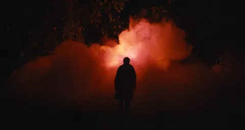 Festival Internacional de Cine 2022: Películas que se proyectarán en esta fiesta del séptimo arte