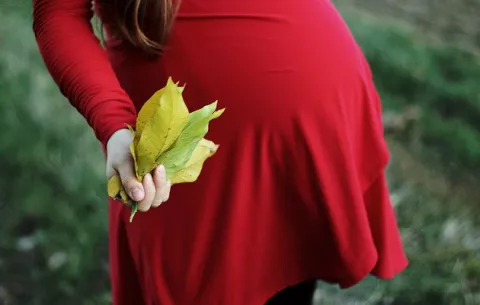 Cortizo sanciona ley que establece gratuidad en servicios de salud para mujeres embarazadas