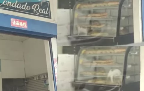 Gato en medio del pan: Minsa advierte que el tema no da risa y puede ser peligroso