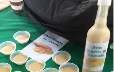 Productores santeños promueven nuevas variedades de camote 