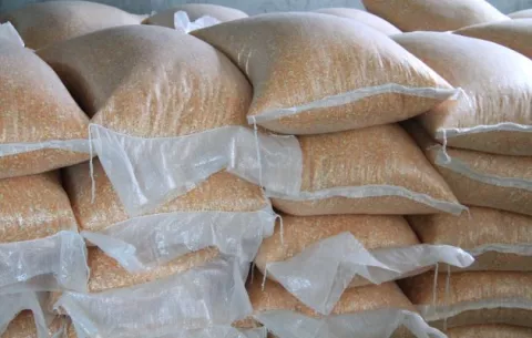 Gobierno ha pagado más de $7.8 millones a productores de maíz