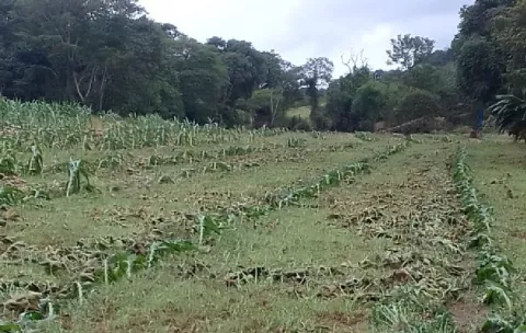 Mida evalúa las zonas afectadas por las lluvias en la provincia de Los Santos