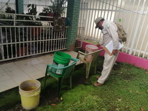 Minsa nebuliza las rutas de los desfiles patrios en Chiriquí por dengue