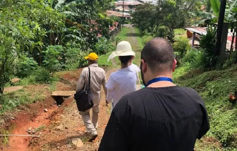 Alerta en Panamá Oeste por casos de malaria