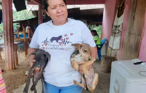 Perros del campo  también sufren y necesitan de una mano amiga