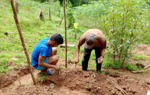 Enseñan a jóvenes no privados de libertad a sembrar sus propios alimentos en Colón