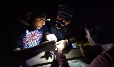 Senderismo nocturno, una opción para ver otro lado de la naturaleza