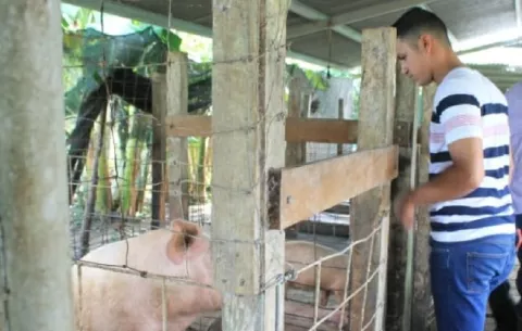 Indemnizarán a productores afectados por desborde del río La Villa 
