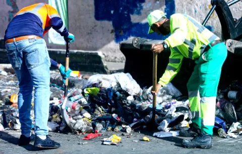 Pedirán al CON monitorear a 'cochinos' en la ciudad capital