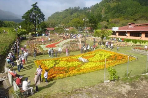 Más de 20 variedades de flores en Feria de Boquete