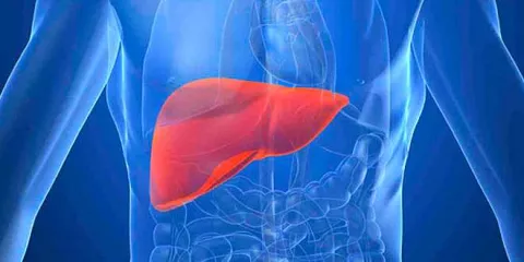 Hepatitis C: Diagnóstico temprano para salvar vidas
