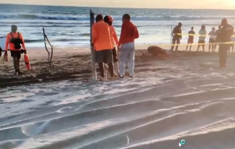 Recuperan cuerpo sin vida de menor en playa La Barqueta