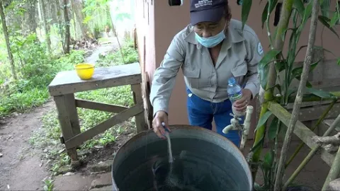 Minsa reporta 6,288 caso de malaria