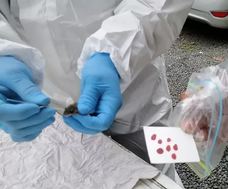 Minsa informa sobre enfermedades de alta incidencia epidemiológica
