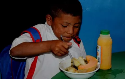 ¿Cuál es el alcance del programa de alimentación escolar?