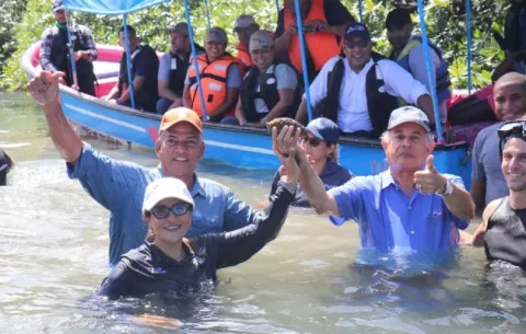 Colón exportará pepino de mar, una respuesta al agotamiento por sobrepesca