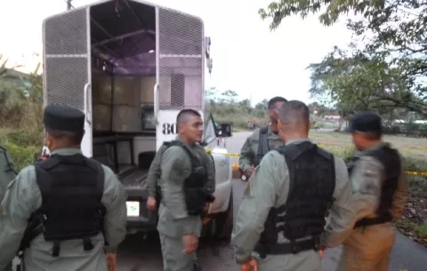 Denuncian a tres jóvenes por maltratar y matar a una yegua