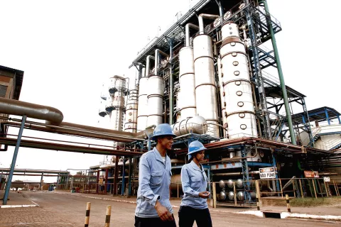 Biocombustibles regresarán a Panamá