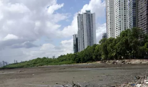 Cambio Climático dejó de ser un 'mito' para Panamá