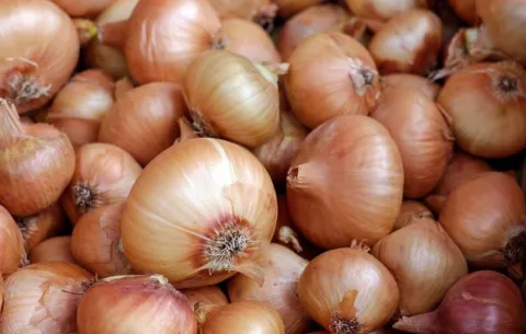 Alertan sobre cebolla que puede no ser apta para consumo 