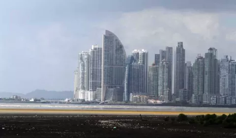 Créditos  de carbono, ¿cómo operará el mercado de Panamá?