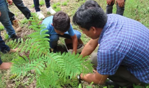 Panamá tiene un largo camino por recorrer en Educación Ambiental