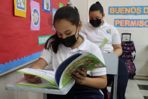 ¿En qué asignaturas fracasan más los estudiantes en Panamá?