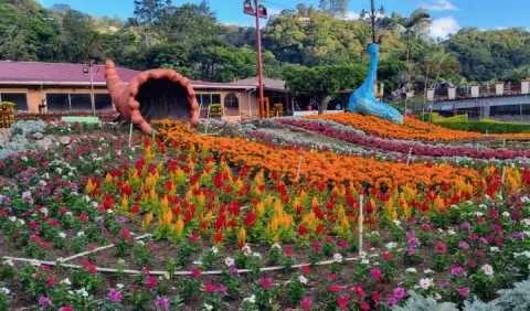 Feria de las Flores y del Café busca activar economía de Boquete