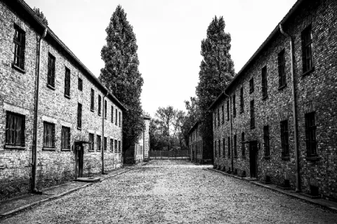 'Holos - Kautos', memoria visual sobre el holocausto